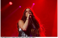 alanis-morissette_zenith_paris_30-06-2012_6171_938