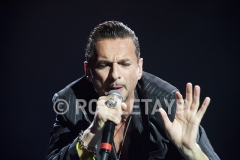 DEPECHE-MODE_NIKAIA_FRANCE_2013_4839