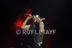 DEPECHE-MODE_NIKAIA_FRANCE_2013_4914