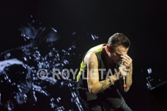 DEPECHE-MODE_NIKAIA_FRANCE_2013_5174