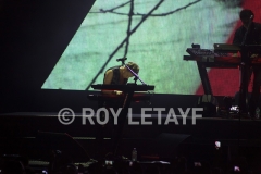 DEPECHE-MODE_NIKAIA_FRANCE_2013_5629