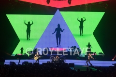 DEPECHE-MODE_NIKAIA_FRANCE_2013_5730