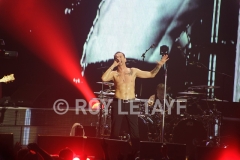 DEPECHE-MODE_NIKAIA_FRANCE_2013_5818
