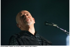 peter-gabriel_9504