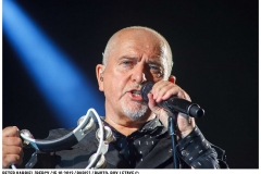 peter-gabriel_9562