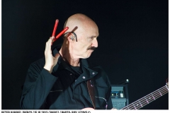 peter-gabriel_9654
