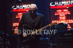 the-stranglers_1684