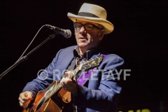 elvis-costello_7154