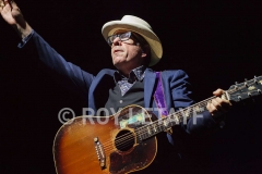 elvis-costello_7319