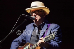 elvis-costello_7335