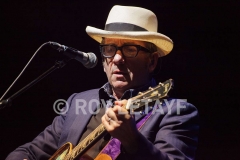 elvis-costello_7363
