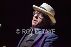 elvis-costello_7463