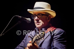 elvis-costello_7474