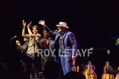 elvis-costello_7577