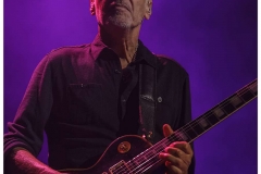 peter-frampton_5272