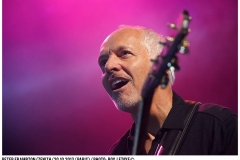 peter-frampton_5344