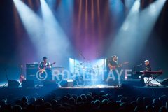 Popa-Chubby-25-ans-de-carriere-Olympia-2015-GuitareTV-08