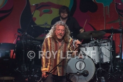 robert-plant_2695