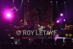 robert-plant_3116