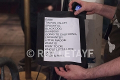 robert-plant_3618