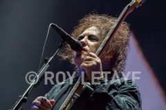 IMG_7252
