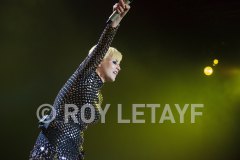 The-Cranberries-Zenith-Paris-2012-GuitareTV-04